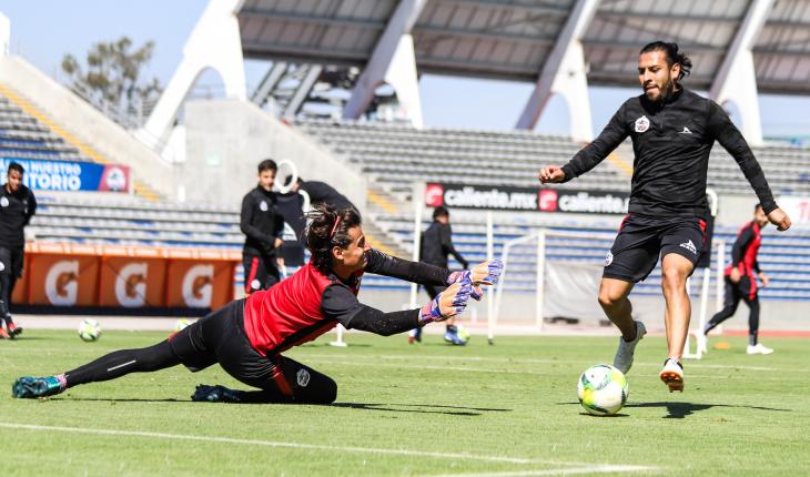 Lobos buap